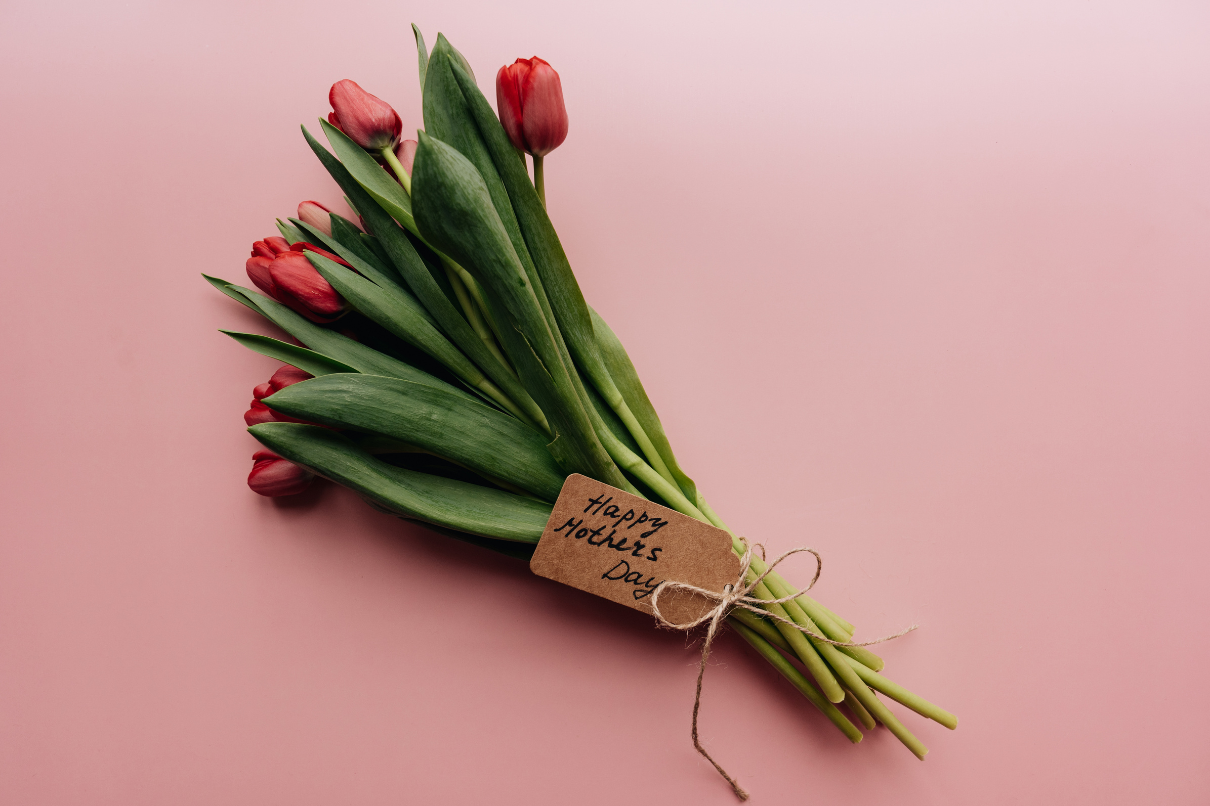 Red Flowers with Green Leaves for Mother's Day