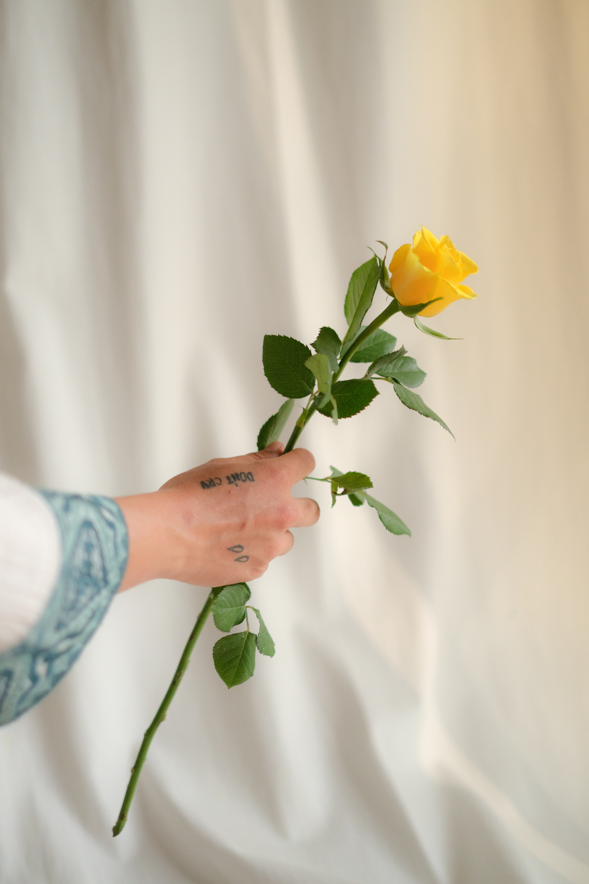 Yellow Rose in a Hand